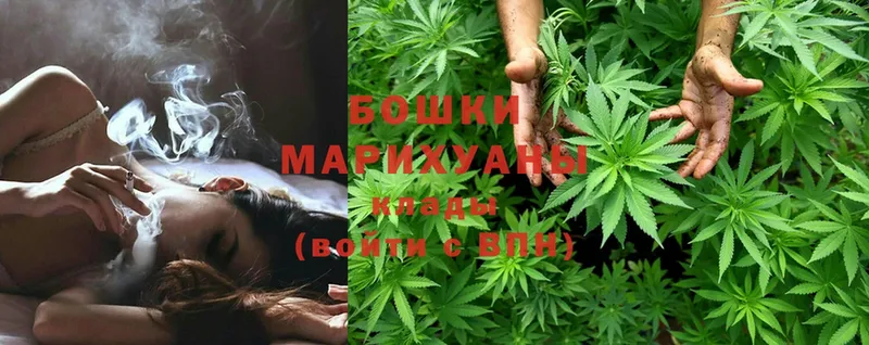 закладка  Карачаевск  omg   Шишки марихуана OG Kush 